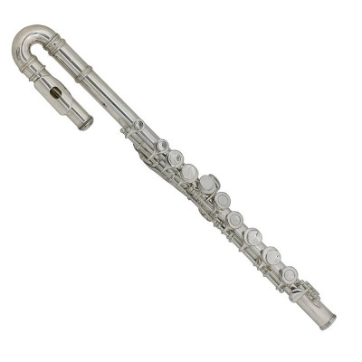 Флейта ROY BENSON FL-402E2