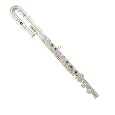 Флейта ROY BENSON FL-402R2