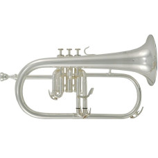 Флюгельгорн Roy Benson FH-302S