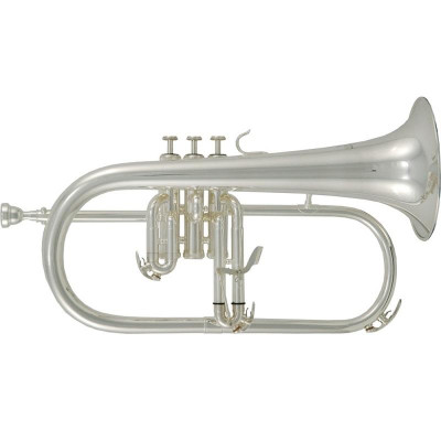 Флюгельгорн Roy Benson FH-302S