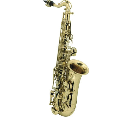 Саксофон Альт ROY BENSON ES-ALT AS-201