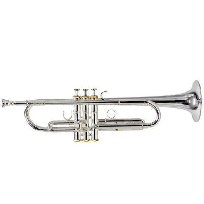 Труба Roy Benson Charli Green Signature Bb