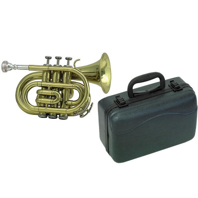 Труба ROY BENSON PT-101G