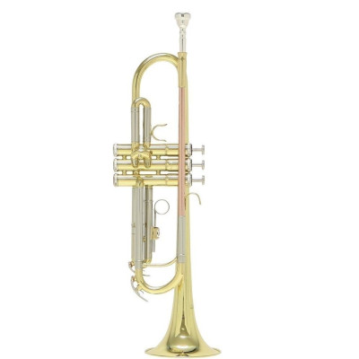 Труба Roy Benson TR-202