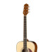 DG403N Акустическая гитара Naranda