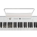 Artesia A-61 Цифровое фортепиано (White)