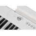 Artesia A-61 Цифровое фортепиано (White)