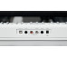 Artesia A-61 Цифровое фортепиано (White)
