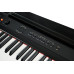 Artesia Performer Black Фортепиано цифровые (Черный)