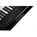 Artesia Performer Black Фортепиано цифровые (Черный)
