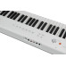 Artesia Performer White Фортепиано цифровое (Белый)