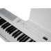 Цифровое фортепиано Artesia PE-88 White