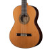 819-9P Classical Concert 9P Классическая гитара, с футляром, Alhambra