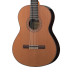 822-10P Classical Concert 10P Premier Классическая гитара, с футляром, Alhambra