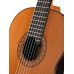 822-10P Classical Concert 10P Premier Классическая гитара, с футляром, Alhambra
