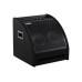 DS200 Монитор для электронной ударной установки, 200Вт, Soundking