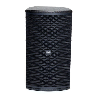 SVS Audiotechnik SP-10A DSP Акустическая система активная