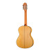 8.896 Green Sustain Flamenco Классическая гитара, Alhambra