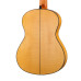 8.896 Green Sustain Flamenco Классическая гитара, Alhambra
