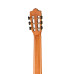 8.896 Green Sustain Flamenco Классическая гитара, Alhambra