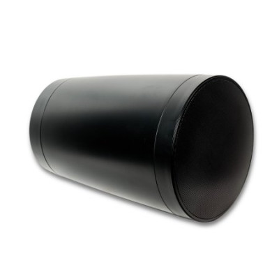 SVS Audiotechnik PAF-PW6B PRO Всепогодная трансляционная акустическая система