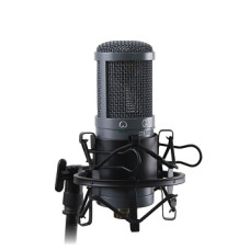 AuraSonics AD22S STEREO стерео микрофон студийный, 2 капсюля 22 мм золото 6 микрон, кардиоидные