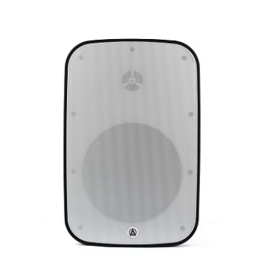 AuraSonics DENSE-8T-WH акустическая система, настенная, IP66, 8"+1,1", НЧ-резонатор