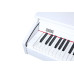 Artesia DP-30 White Цифровое фортепиано белое
