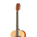 LF-3910 Фольковая гитара HOMAGE