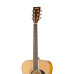 LF-4111-N Акустическая гитара HOMAGE