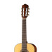 N1010-1/2 Spanish Классическая гитара Hora