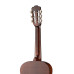 N1010-1/2 Spanish Классическая гитара Hora