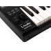 Panda-25C MIDI-контроллер, 25 клавиш, LAudio