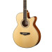 F303CNA Акустическая фолк-гитара с вырезом Naranda
