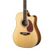 DG403CN Акустическая гитара с вырезом Naranda