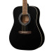 W81-WBAG-BKS Акустическая гитара, черная, с чехлом Parkwood