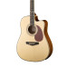 DG403CEN Акустическая гитара со звукоснимателем, с вырезом Naranda