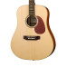 W11304 Segada SM50 Акустическая гитара Hora