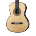 Monaco-S Классическая гитара, Martinez
