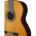 7.631 Premier Pro Madagascar Классическая гитара в футляре, Alhambra