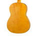 N1105 Flamenco Классическая гитара 4/4, Hora