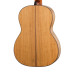 SM603 Классическая гитара 4/4, Hora