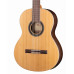 794-1C 1C HT EZ Классическая гитара 4/4, со звукоснимателем, Alhambra
