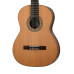 N1014 SM20 Regun Классическая гитара Hora