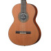 6.807 Classical Conservatory 4P E2 Классическая гитара со звукоснимателем, Alhambra