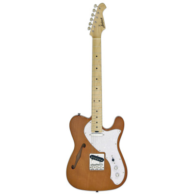 ARIA PRO II TEG-TL N Гитара электрическая, 6 струн