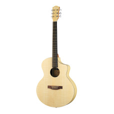 FFG-TXW-1 Акустическая гитара, Foix