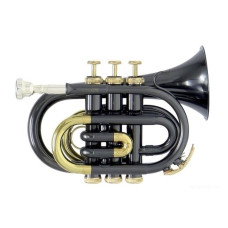 Roy Benson PT-101K Bb карманная труба