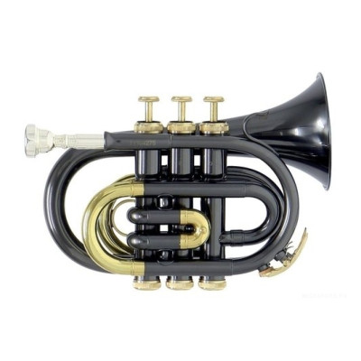 Roy Benson PT-101K Bb карманная труба