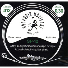 SP-12 Отдельная струна, 0,012, сталь ФРГ, Господин Музыкант